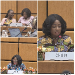 Ghana's Ambassador to Austria chairs 33rd HONLEA Africa meeting in Vienna