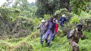Rangers and tourists at the Mgahinga Gorilla National Park in Uganda. PHOTO | FILE | NMG