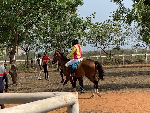 Accra Turf Club laments demolition of only public horse racing course
