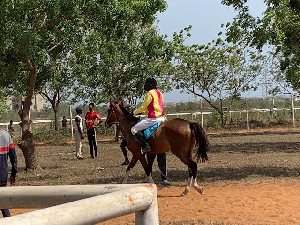 Accra Turf Club Laments Demolition Of Only Public Horse Racing Course