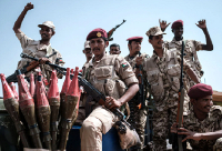 Rapid support forces troops