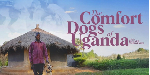 Uganda's dog therapy documentary wins award in Mexico Uganda's dog therapy documentary wins award in Mexico