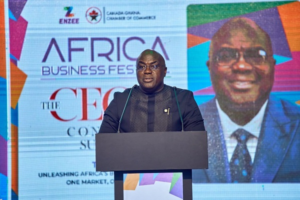 Government targets investment, economic stability to protect private sector