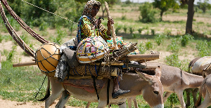 A Nomad Fulani woman travels on a donkey along Gashua road in Nigeria