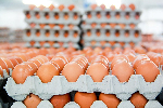 Traders demand investigations into destruction of GH¢10 million worth of eggs in Burkina Faso