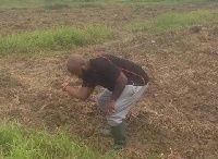 Musician and radio personality, Trigmatic  weeding on his farm