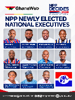 FULL LIST: See all winners of the 2026 NPP national elections