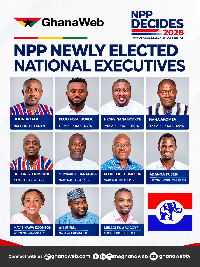 The winners of the NPP elections will lead the party in the 2028 elections