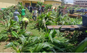 President Mahama launched the implementation of the PIAA to scale up the nation’s agribusiness