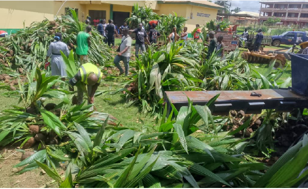 President Mahama launched the implementation of the PIAA to scale up the nation’s agribusiness