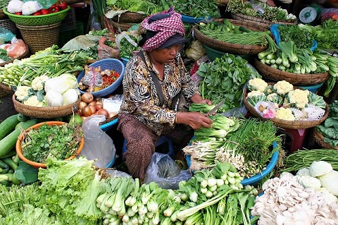 Vegetable and fruit sellers hail agric ministers nomination