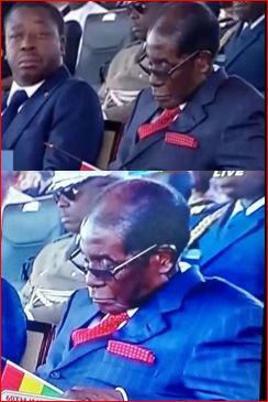 Mugabe Sleeps Ghana@60
