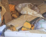 Late Frafra queen mother’s grave exhumed in Asante Mampong, head chopped off Late Frafra queen mother’s grave exhumed in Asante Mampong, head chopped off