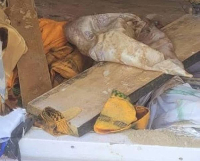 The incident is suspected to be linked to ritual activity