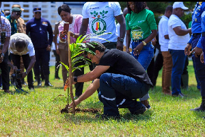 A photo of someone planting a tree as part of the tree for life initiative