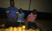 Photo of suspects arrested in connection with the narcotics bust