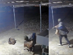 CCTV captures moment ‘thieves’ swiftly grab goat, flee on motorcycle