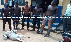 The five suspected thieves with the pregnant goat