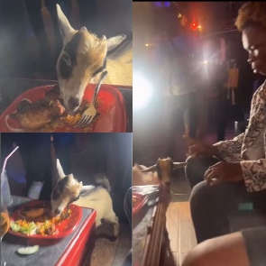 AY Poyoo's goat feeds on jollof and chicken