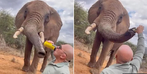 The videos posted to Instagram were removed following a backlash from Kenyans in the comments