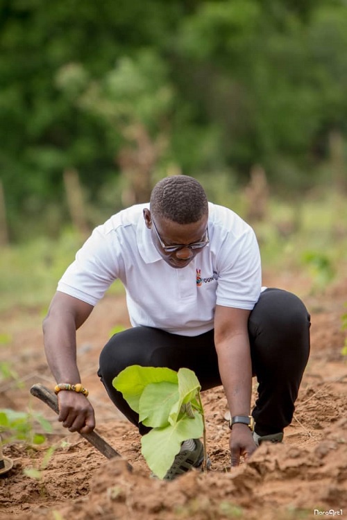 Tree planting must be a vital part of human existence