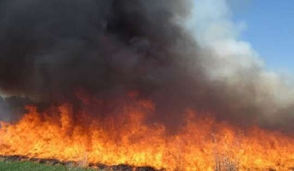 There were 180 bushfires, representing a 115 percent increase compared to 65 in 2019