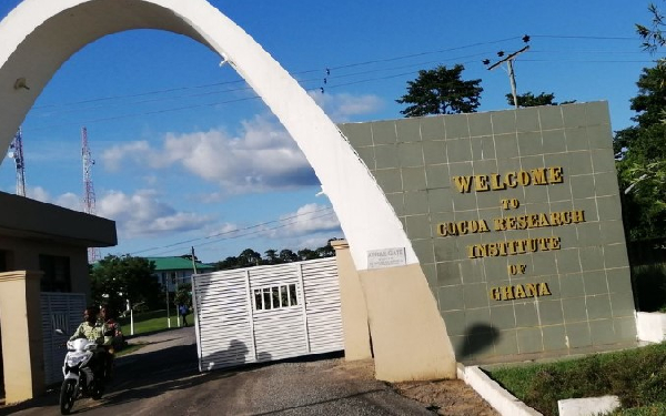 Cocoa Research Institute of Ghana