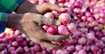 Nigerian onion traders suspend export to Ghana Nigerian onion traders suspend export to Ghana
