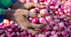 According to the plaintiff, some family members now assume she has become financially well-off