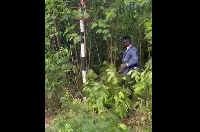 Nana Tea got down in his suit and started weeding the edge of the GIMPA Road