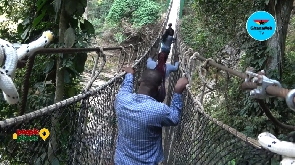 The Amedzofe Canopy walkway features in the next edition of People & Places