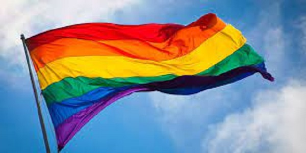 The LGBTQ+ flag | File photo