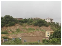 The removal of vegetation accelerates stormwater runoff