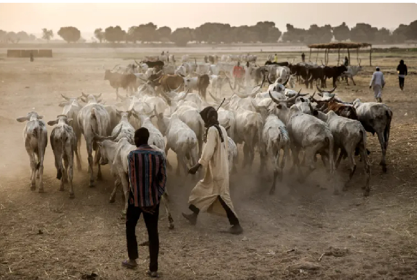 Observers say the scarcity of land as well as climate change have contributed to increasing tensions