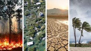 The UN has released a report on climate change