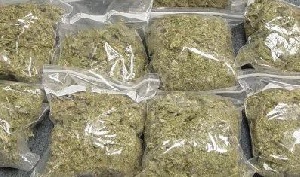 Three bags of Indian hemp were discovered upon inspection of the vehicle