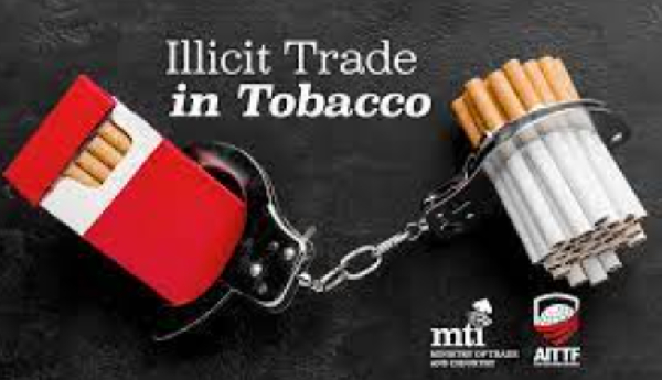 Francisca Amuzu, a Youth Advocate with the Vision for Accelerated Sustainable Development