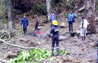 20 persons died and more than 30 left with various degrees of injuries after trees at the waterfalls