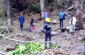20 persons died and more than 30 left with various degrees of injuries after trees at the waterfalls