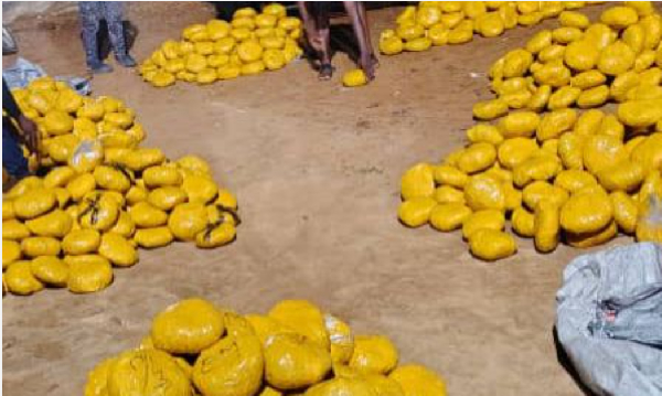 Photo of the parcels of leaves suspected to br Indian Hemp