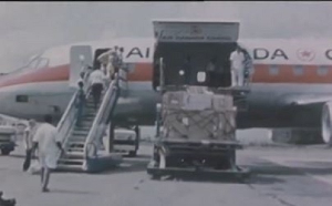 Watch how a herd of 45 cattle was flown from Canada to Ghana in 1974