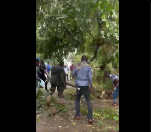 Screensot from the scene