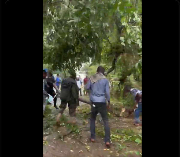 Screensot from the scene