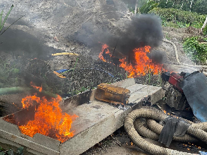 The destruction has led to reduced yields, tree uprooting, and premature death of rubber trees