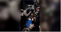 Video taken shows chaos on board, with trays, food and other objects strewn across the floor