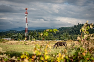 ATC Towers 