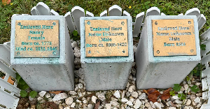 The dark past of Southern US