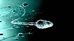 Does premature ejaculation affect male fertility? - Expert explains