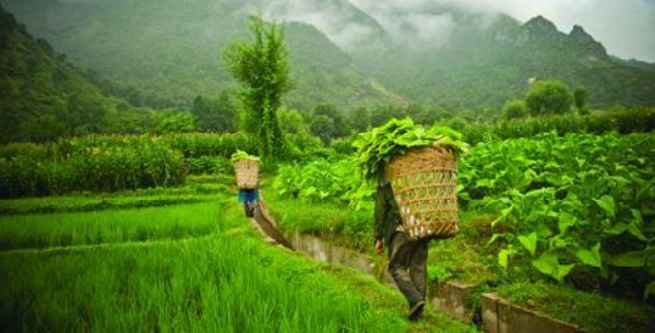 Across Ghana, millions of actors in the agricultural value chain depend daily on communication