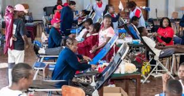 Schoolchildren donating blood in Zimbabwe